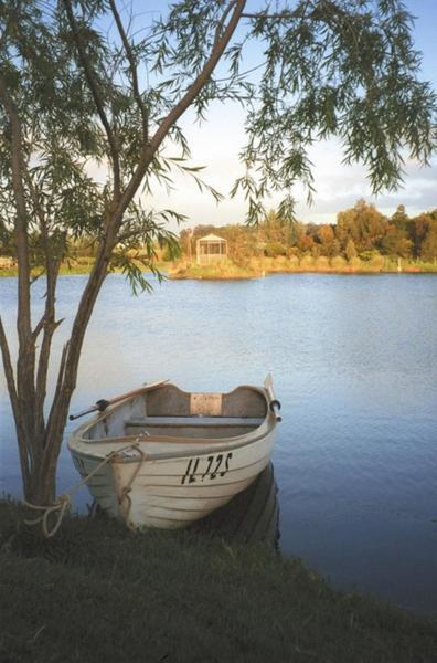 สโตนเวลล์ คอทเทจ แอนด์ ไวน์ยาร์ด Villa Barossa Valley ภายนอก รูปภาพ